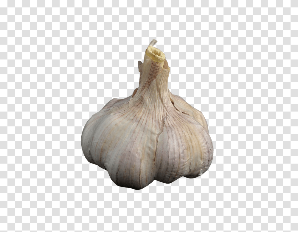 Garlic 960, Vegetable, Plant, Food, Fungus Transparent Png