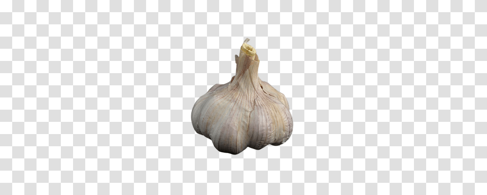 Garlic Food, Plant, Vegetable, Fungus Transparent Png