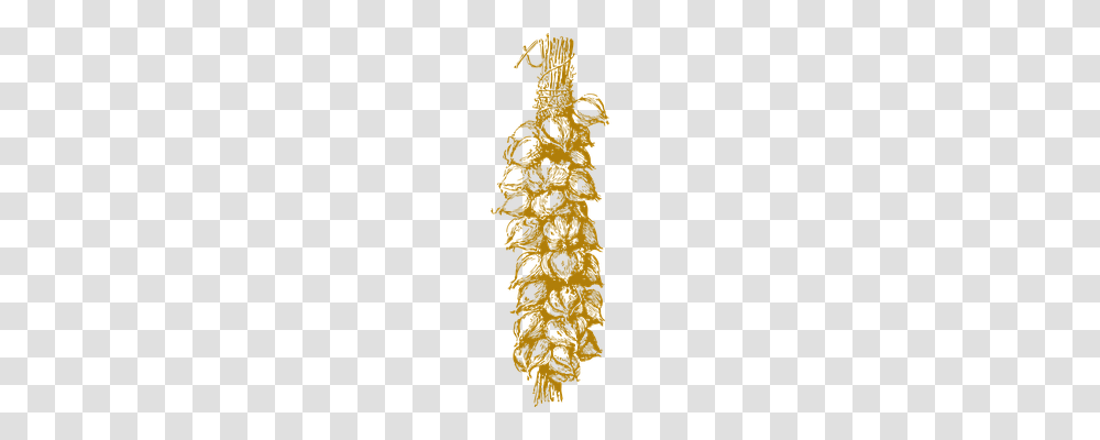 Garlic Technology, Tree, Plant Transparent Png