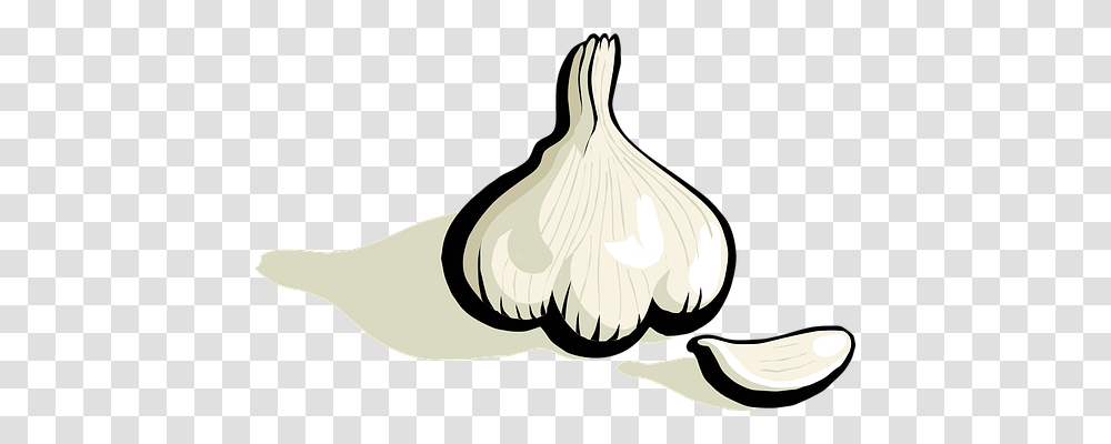 Garlic Nature, Plant, Vegetable, Food Transparent Png