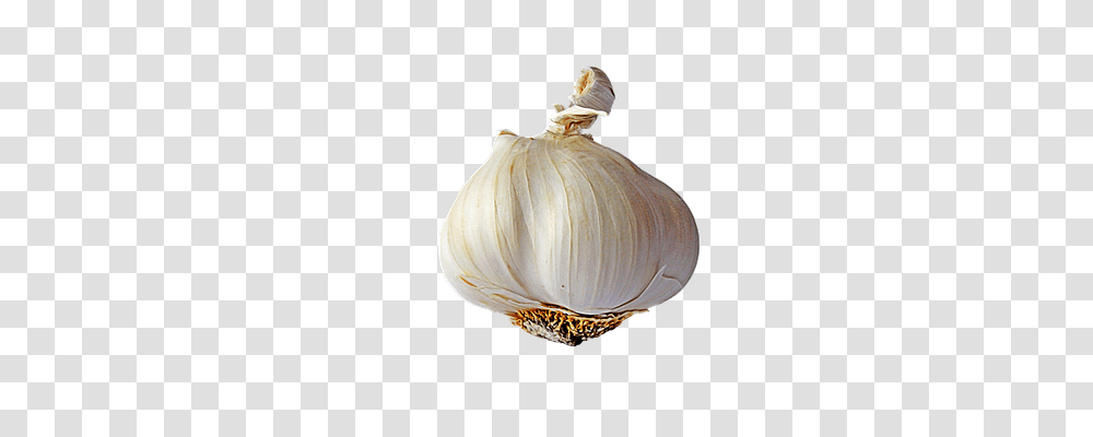Garlic Food, Plant, Vegetable, Fungus Transparent Png