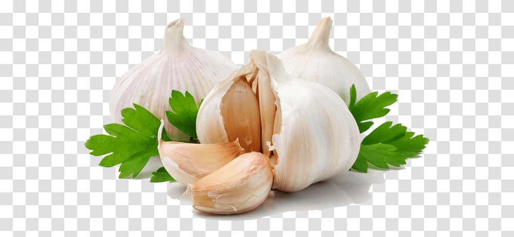 Garlic And Ginger, Plant, Vegetable, Food, Bird Transparent Png