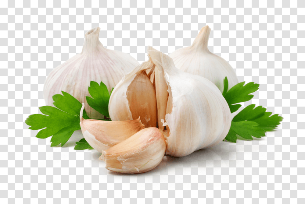Garlic And Parsley, Plant, Vegetable, Food Transparent Png