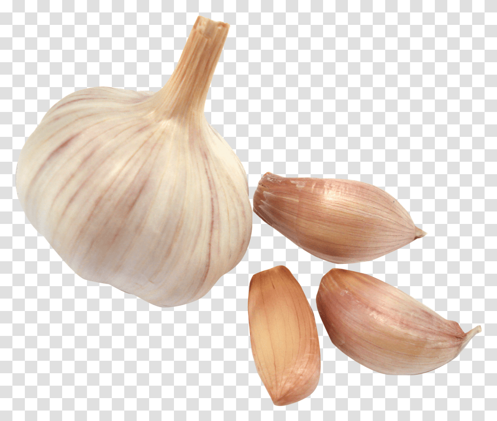 Garlic Background Cloves Garlic, Plant, Fungus, Vegetable, Food Transparent Png