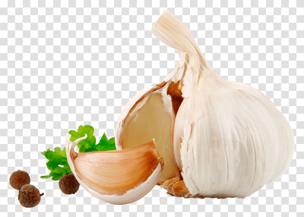 Garlic Background Garlic, Plant, Vegetable, Food, Bird Transparent Png