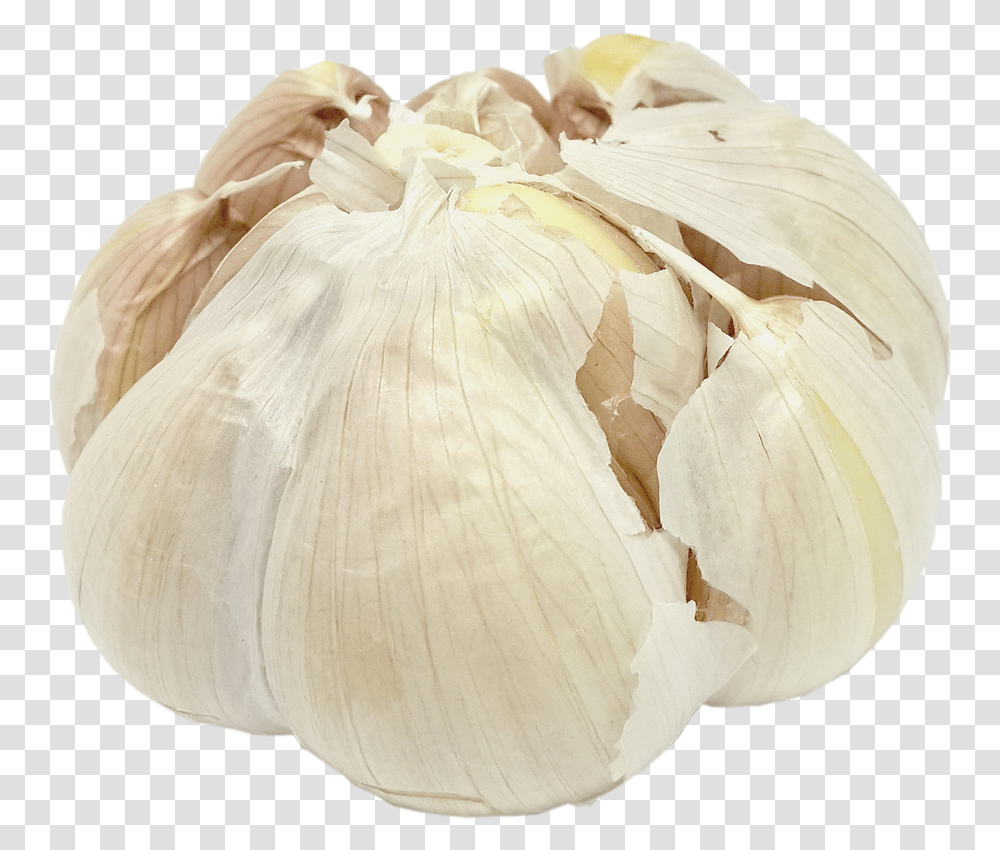 Garlic Background Garlic, Plant, Vegetable, Food, Fungus Transparent Png