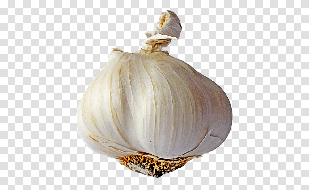 Garlic Background, Plant, Vegetable, Food Transparent Png