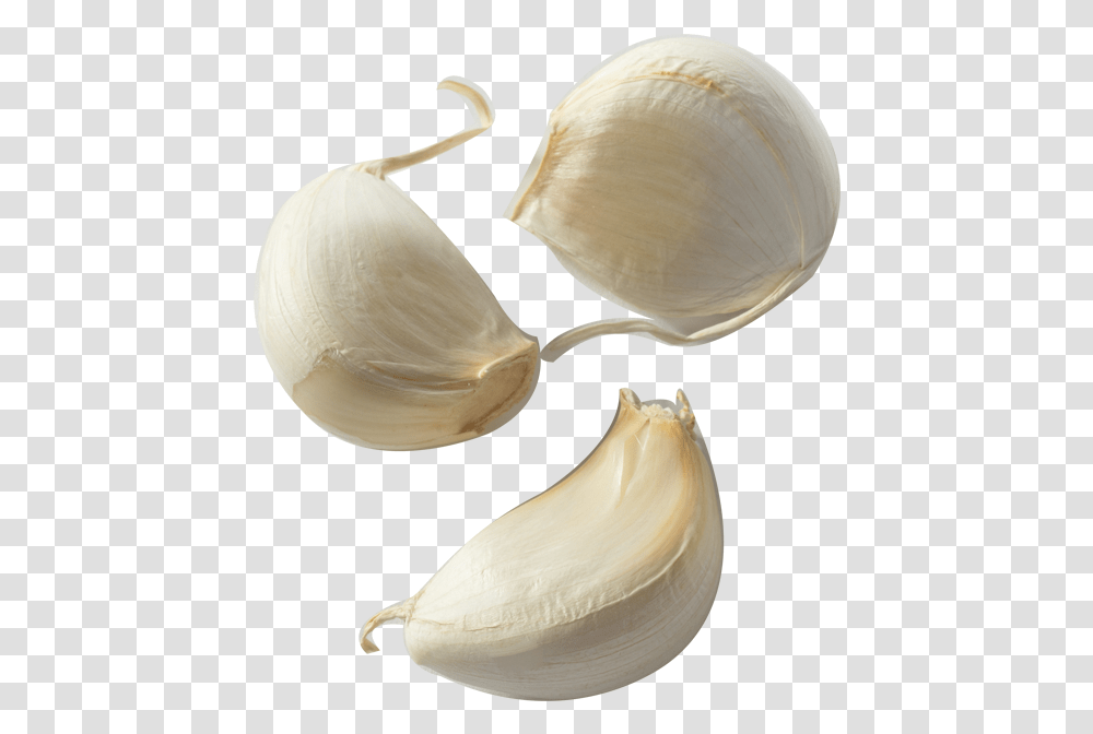 Garlic Bread Clove Condiment Onion Garlic Clove, Plant, Vegetable, Food, Fungus Transparent Png