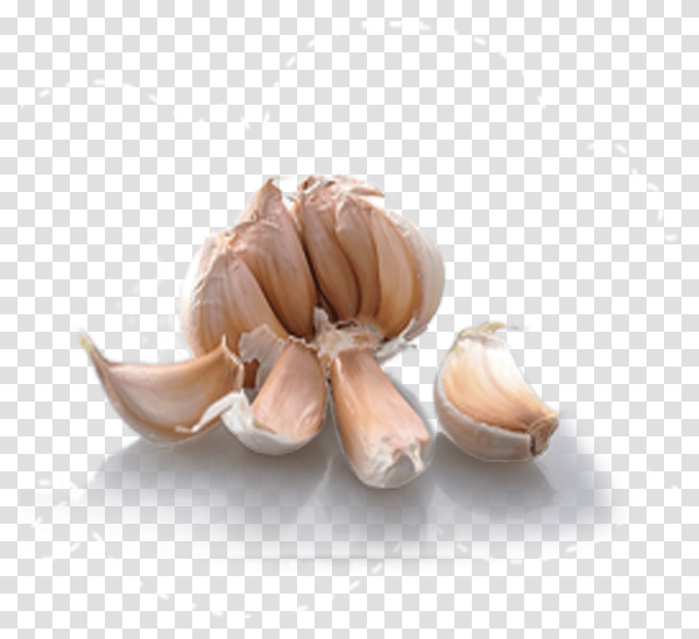 Garlic Bread Condiment Computer File Garlic Transparent Png