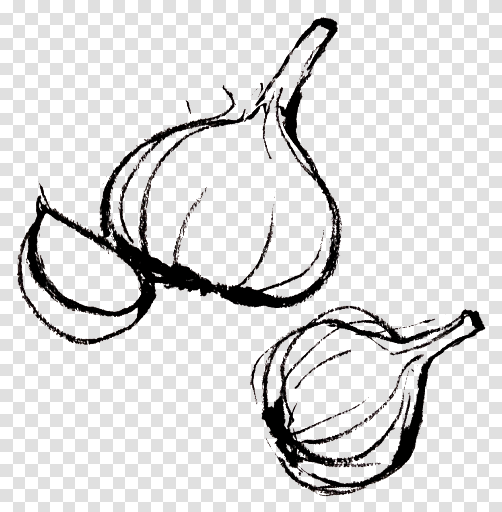 Garlic Clipart Draw Garlic Draw, Whip, Accessories, Stencil Transparent Png