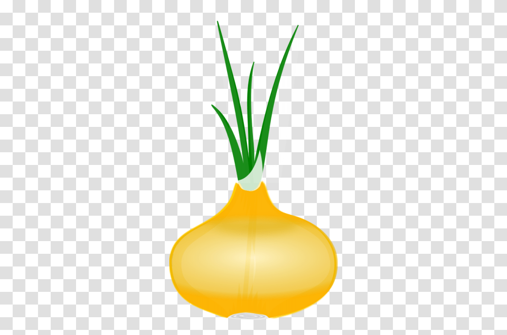 Garlic Clipart Nice Clip Art, Plant, Food, Vegetable, Flower Transparent Png