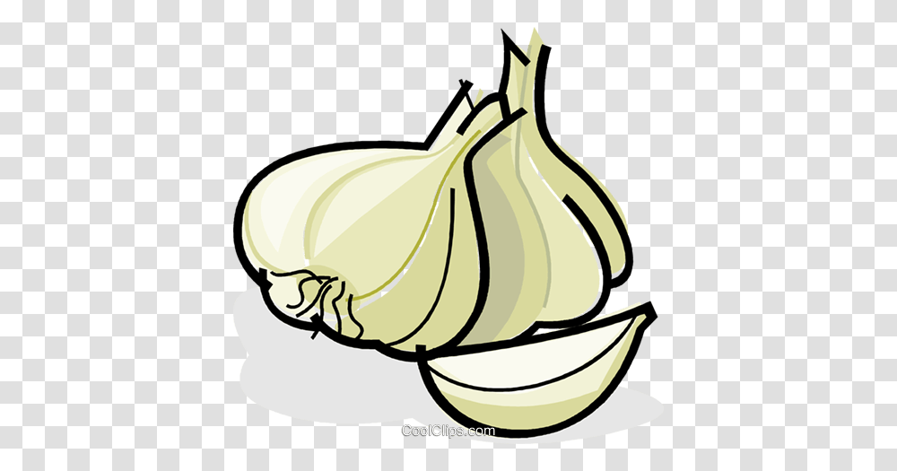 Garlic Cloves Royalty Free Vector Clip Art Illustration, Plant, Food, Fruit, Vegetable Transparent Png