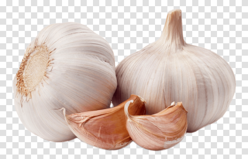 Garlic Duo Garlic, Plant, Vegetable, Food, Bird Transparent Png