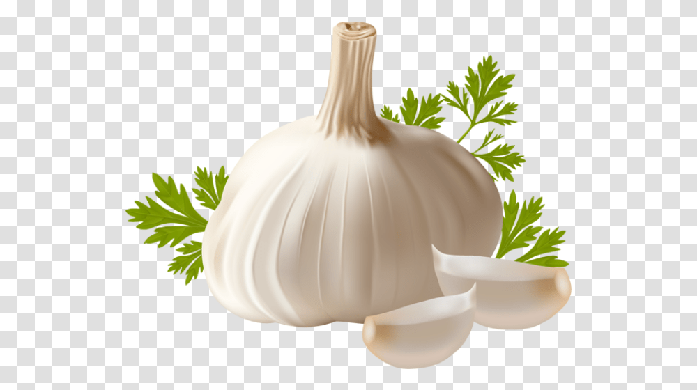 Garlic File Background Garlic, Plant, Vegetable, Food, Wedding Gown Transparent Png