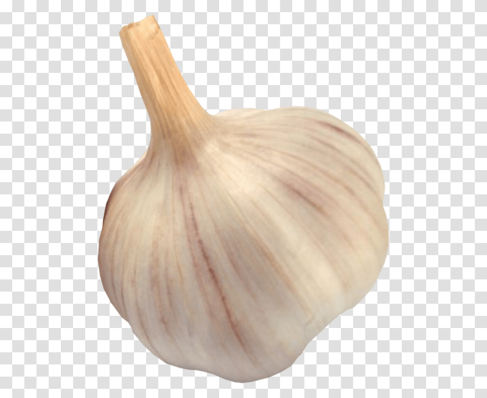 Garlic Free Image Download Garlic Image Downloaded, Plant, Vegetable, Food, Fungus Transparent Png