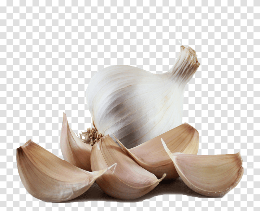 Garlic Hd Images Solent Wight Garlic Cloves, Plant, Vegetable, Food, Bird Transparent Png