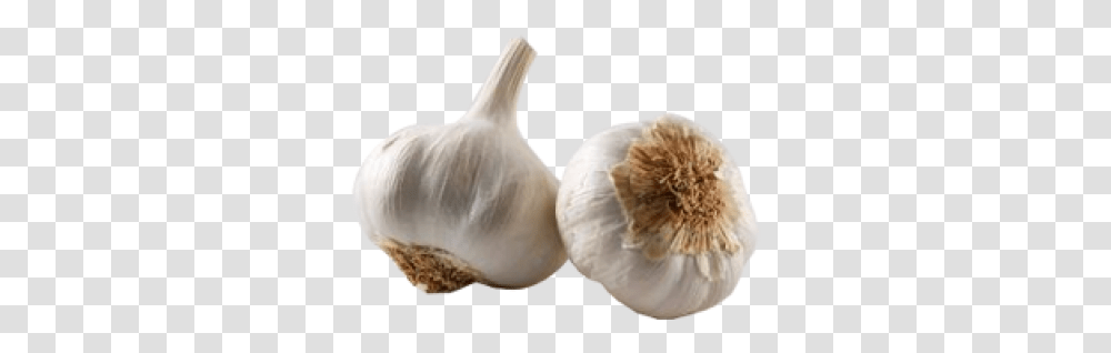 Garlic Icon Garlic, Plant, Vegetable, Food Transparent Png