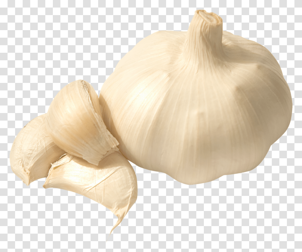 Garlic Image Clove Of Garlic, Plant, Vegetable, Food, Fungus Transparent Png