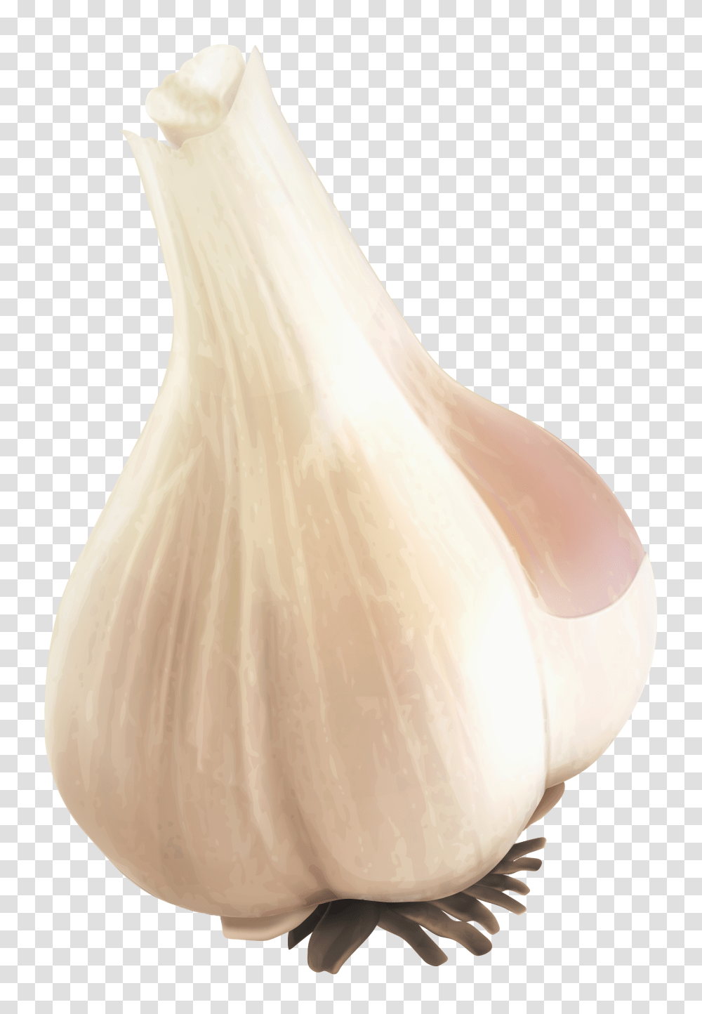 Garlic Image Garlic Desain, Plant, Vegetable, Food, Wedding Gown Transparent Png