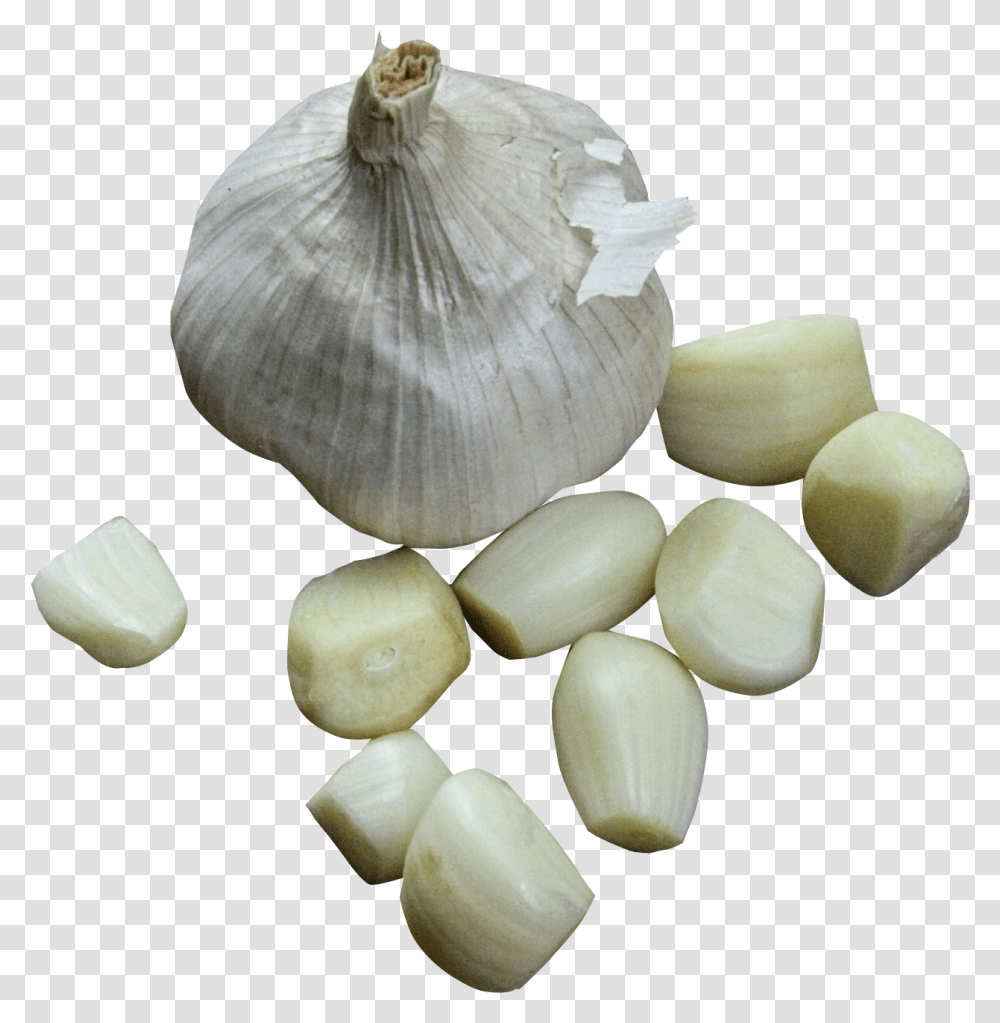 Garlic Image Garlic, Plant, Vegetable, Food, Fungus Transparent Png