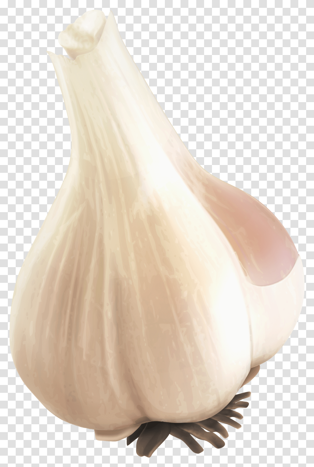Garlic Image Garlic, Plant, Vegetable, Food, Wedding Gown Transparent Png