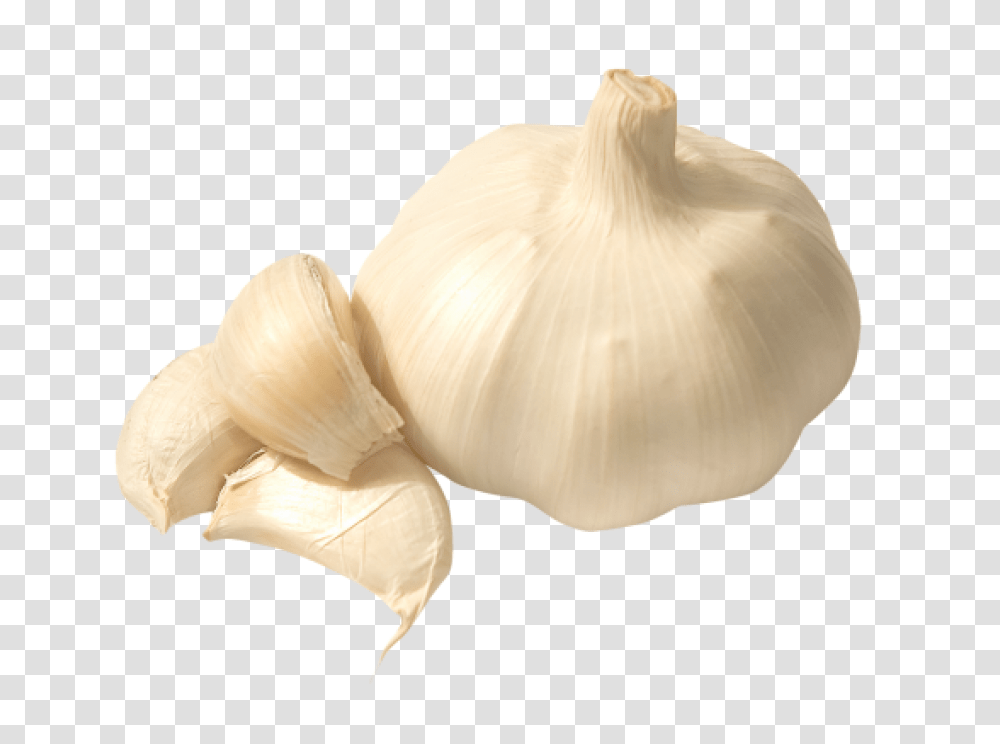 Garlic Image, Plant, Vegetable, Food, Fungus Transparent Png