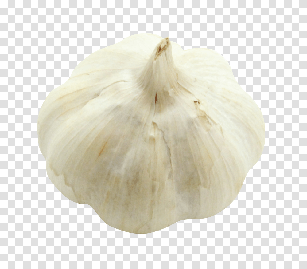 Garlic Image, Vegetable, Plant, Food, Bird Transparent Png