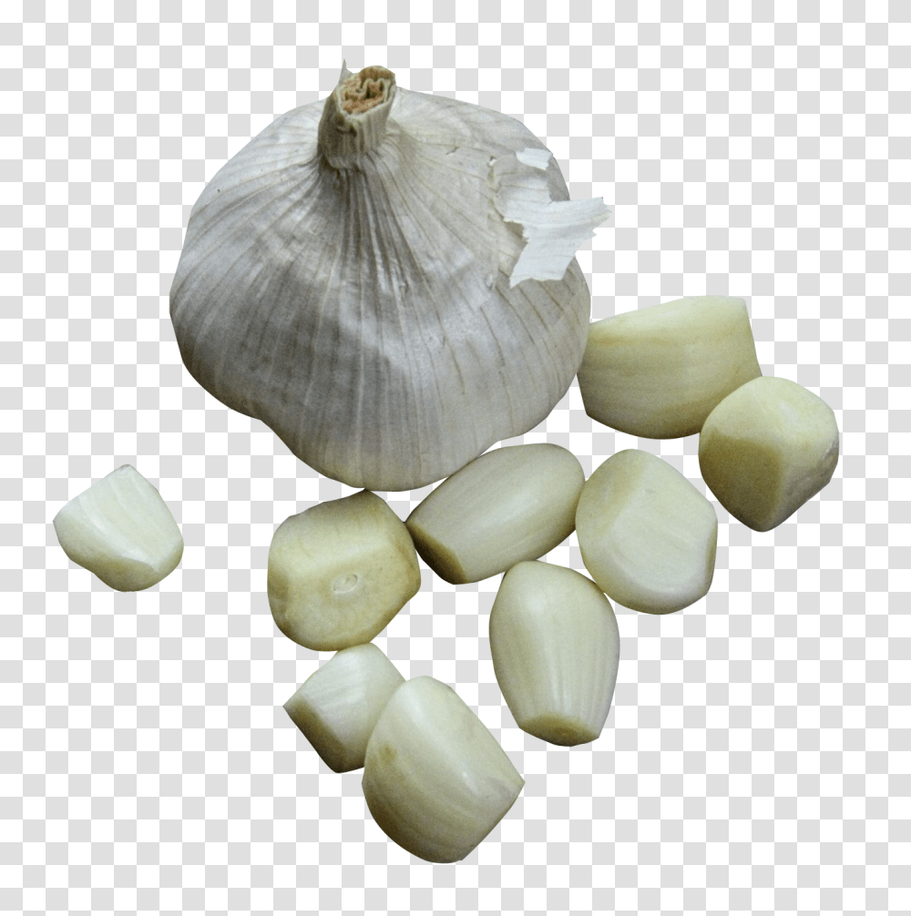 Garlic Image, Vegetable, Plant, Food Transparent Png