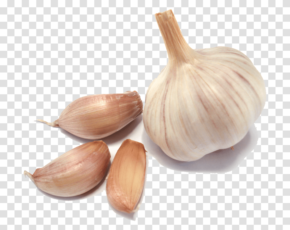 Garlic Images Garlic, Plant, Vegetable, Food, Fungus Transparent Png