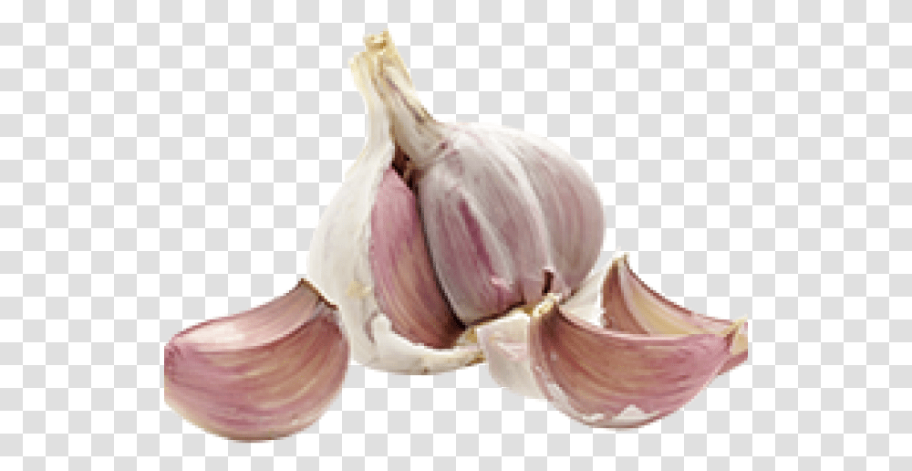 Garlic Images Thrush On The Vagina, Plant, Vegetable, Food Transparent Png