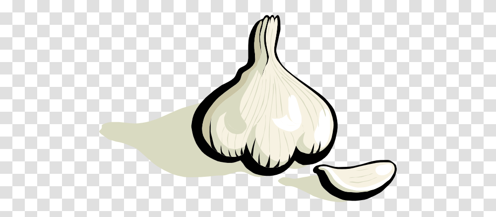 Garlic Large Size, Plant, Vegetable, Food Transparent Png