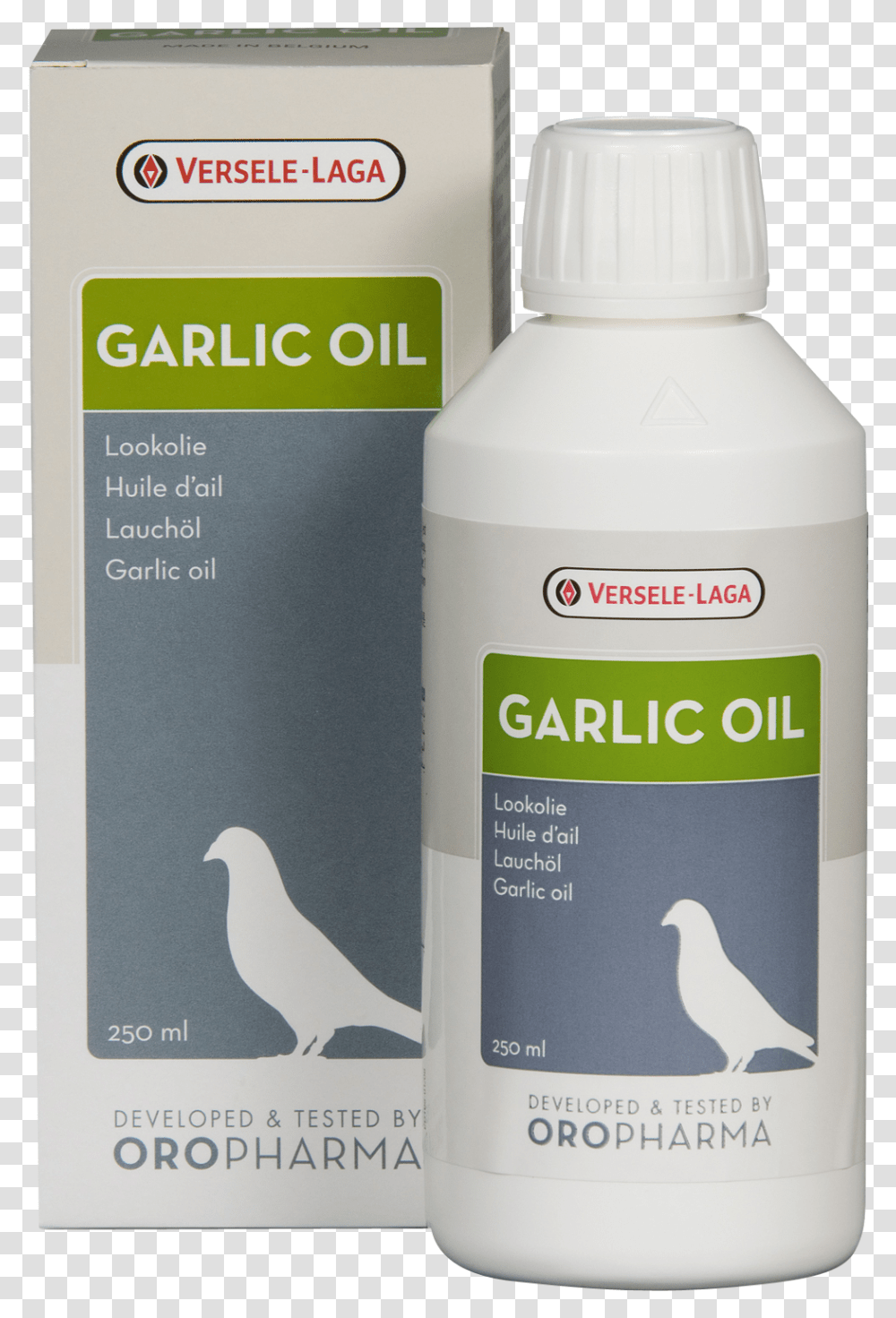 Garlic Oil For Pigeon, Bird, Animal, Milk, Beverage Transparent Png