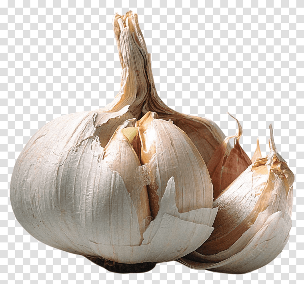 Garlic Opened Garlic With No Background, Plant, Vegetable, Food, Fungus Transparent Png