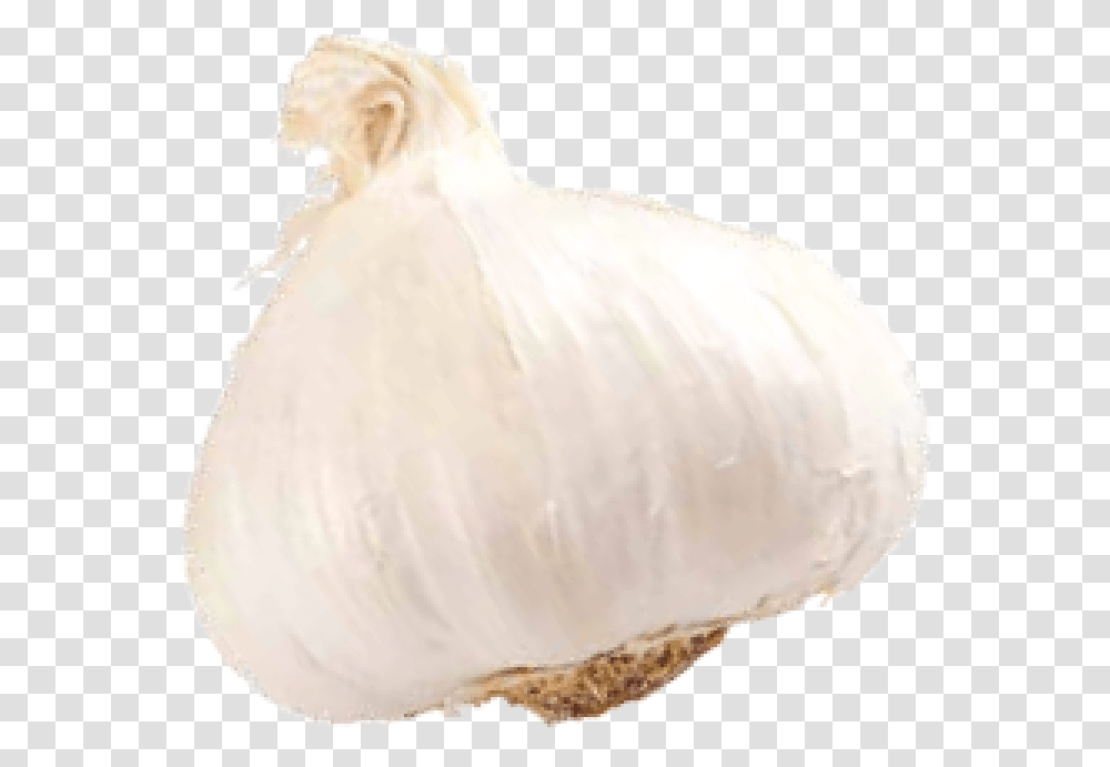 Garlic Pick It Try Like Preserve Soft, Plant, Vegetable, Food, Bird Transparent Png