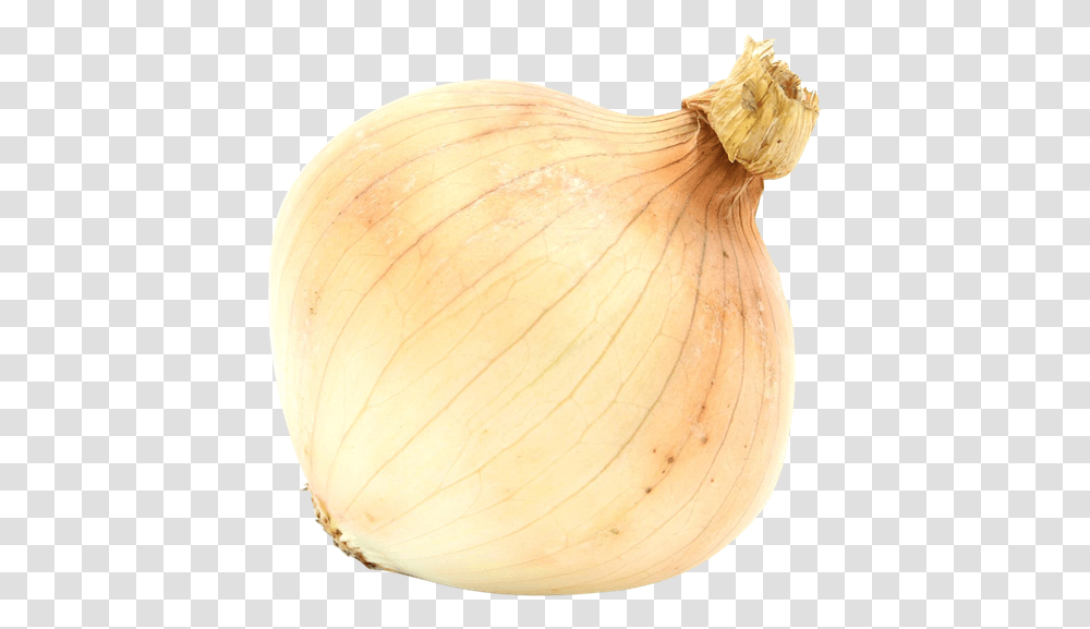 Garlic, Plant, Vegetable, Food, Onion Transparent Png