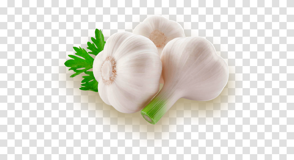 Garlic, Plant, Vegetable, Food, Spoon Transparent Png