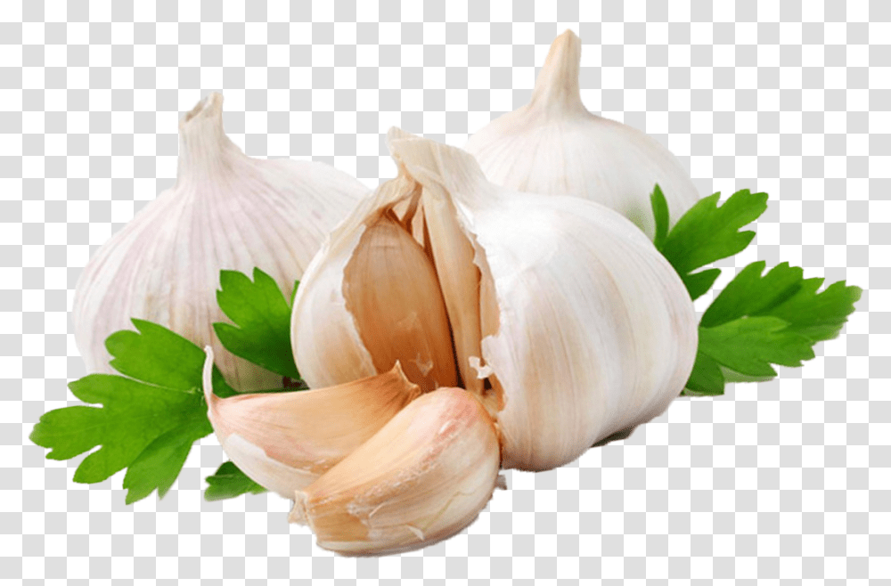 Garlic, Plant, Vegetable, Food Transparent Png