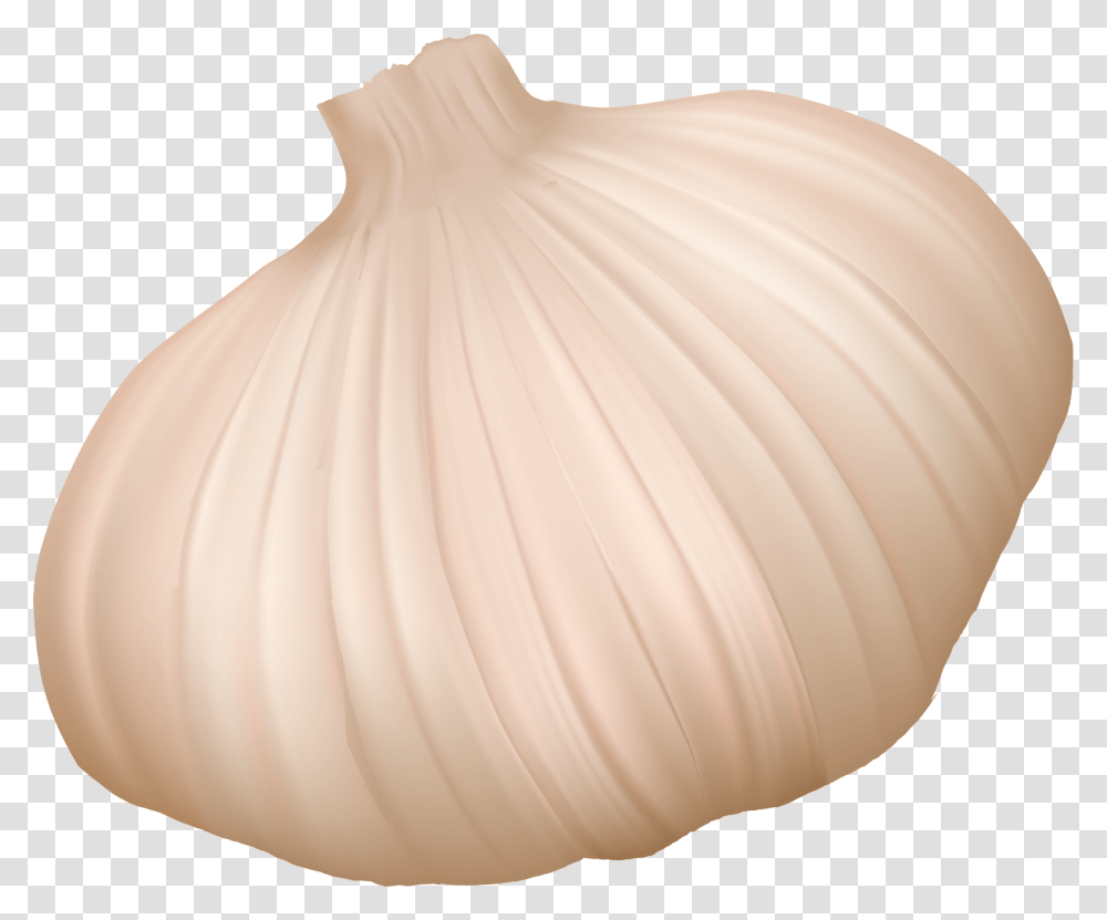 Garlic, Plant, Vegetable, Food, Wedding Gown Transparent Png