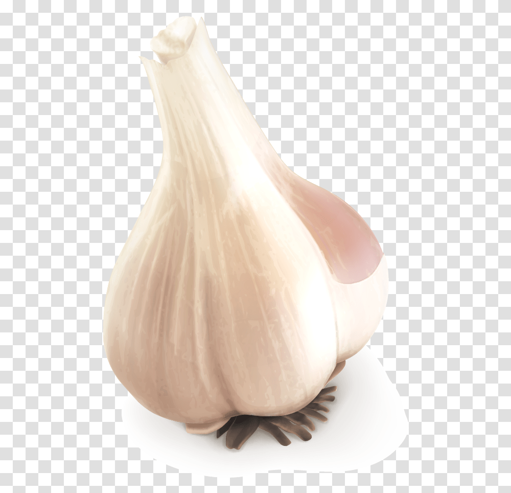 Garlic, Plant, Vegetable, Food, Wedding Gown Transparent Png