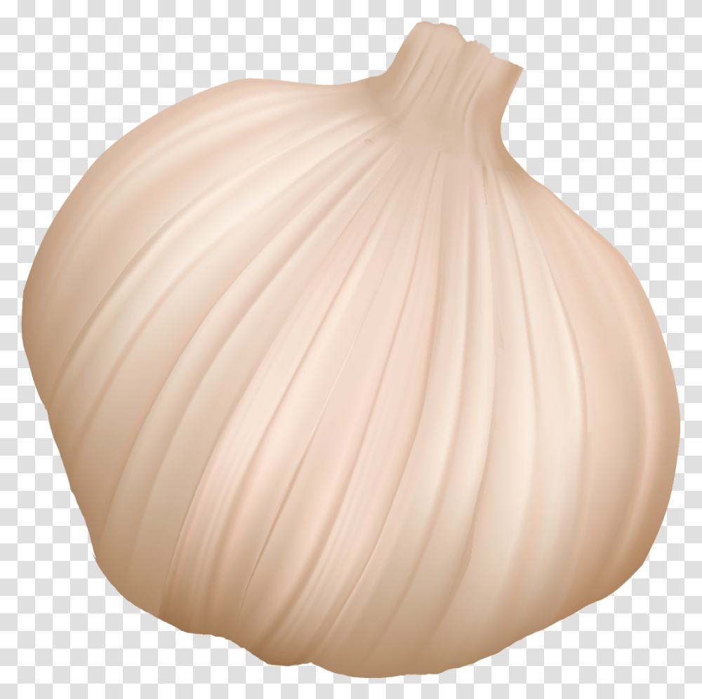 Garlic, Plant, Vegetable, Food, Wedding Gown Transparent Png