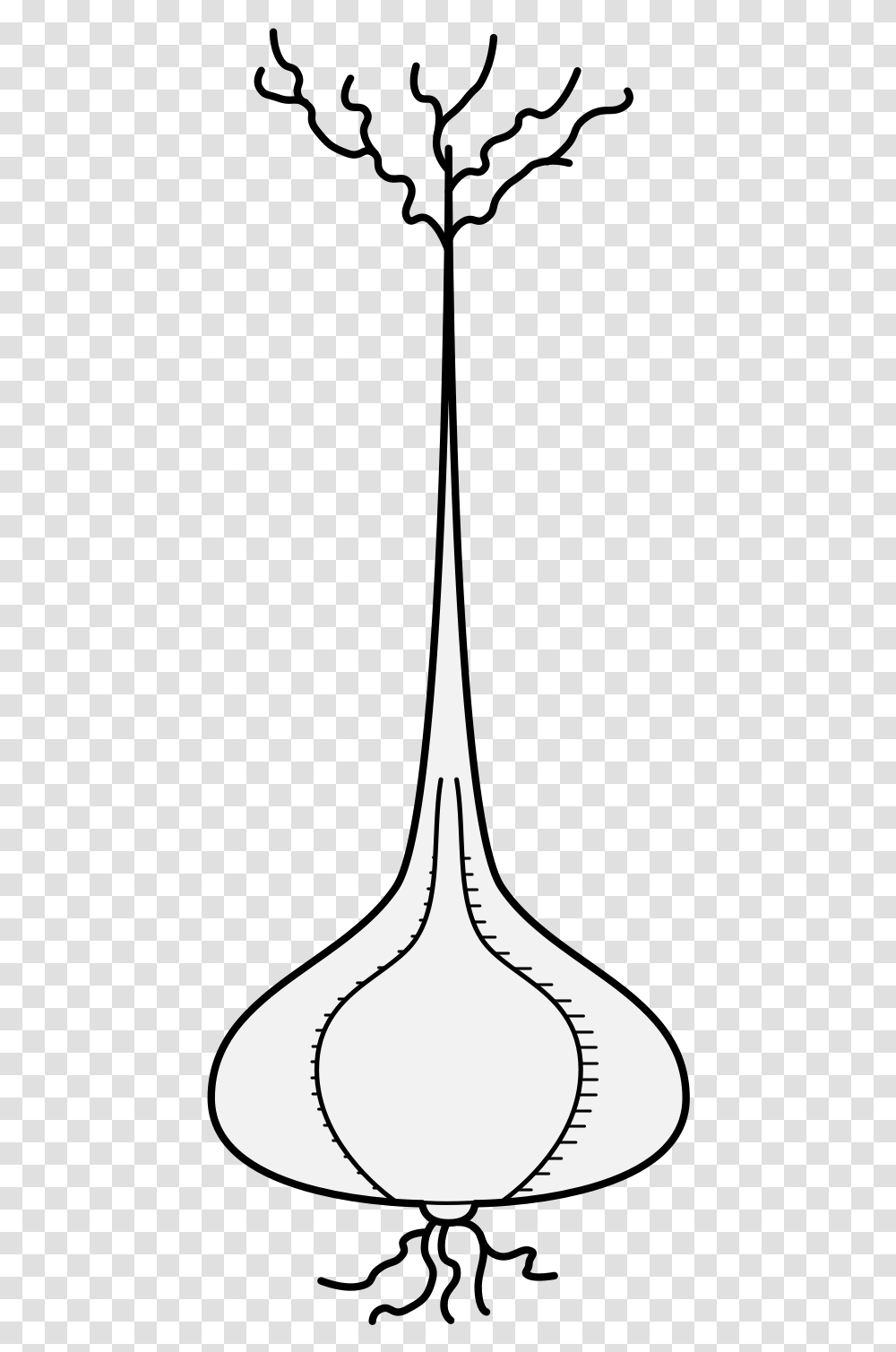 Garlic Traceable Heraldic Art Line Art, Spire, Tower, Architecture, Building Transparent Png