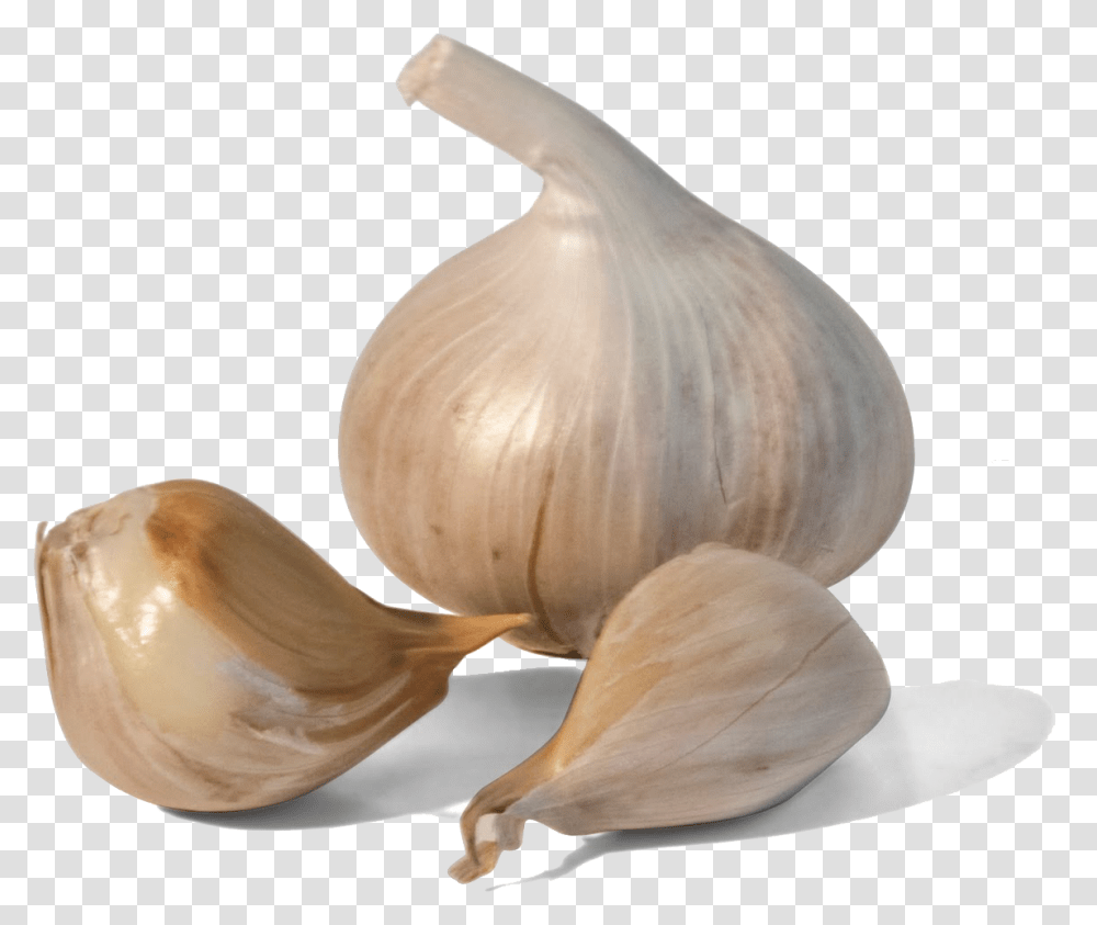 Garlic, Vegetable, Plant, Food, Bird Transparent Png