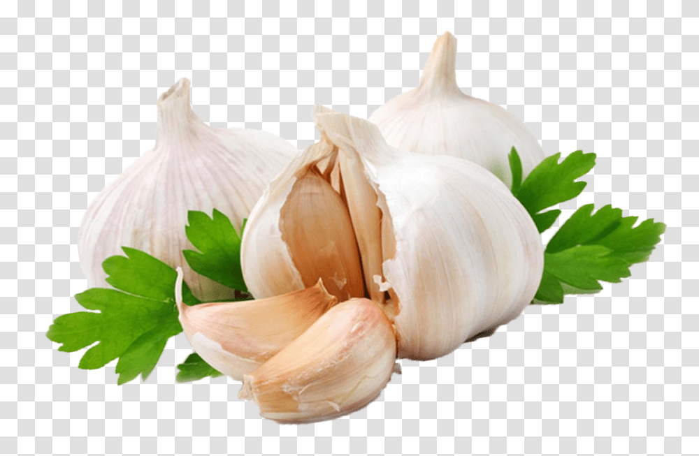 Garlic, Vegetable, Plant, Food, Bird Transparent Png