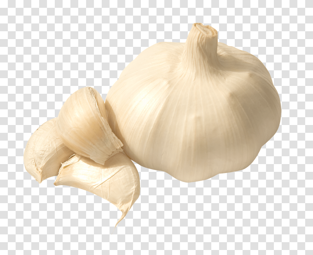 Garlic, Vegetable, Plant, Food, Crib Transparent Png