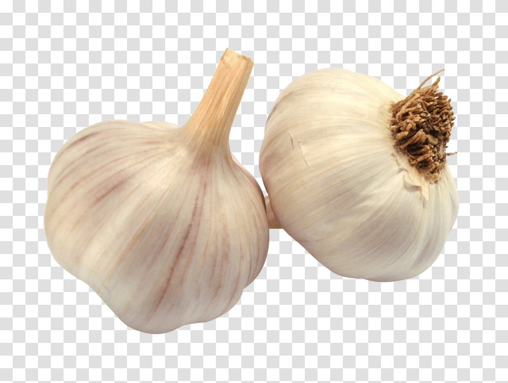 Garlic, Vegetable, Plant, Food, Fungus Transparent Png