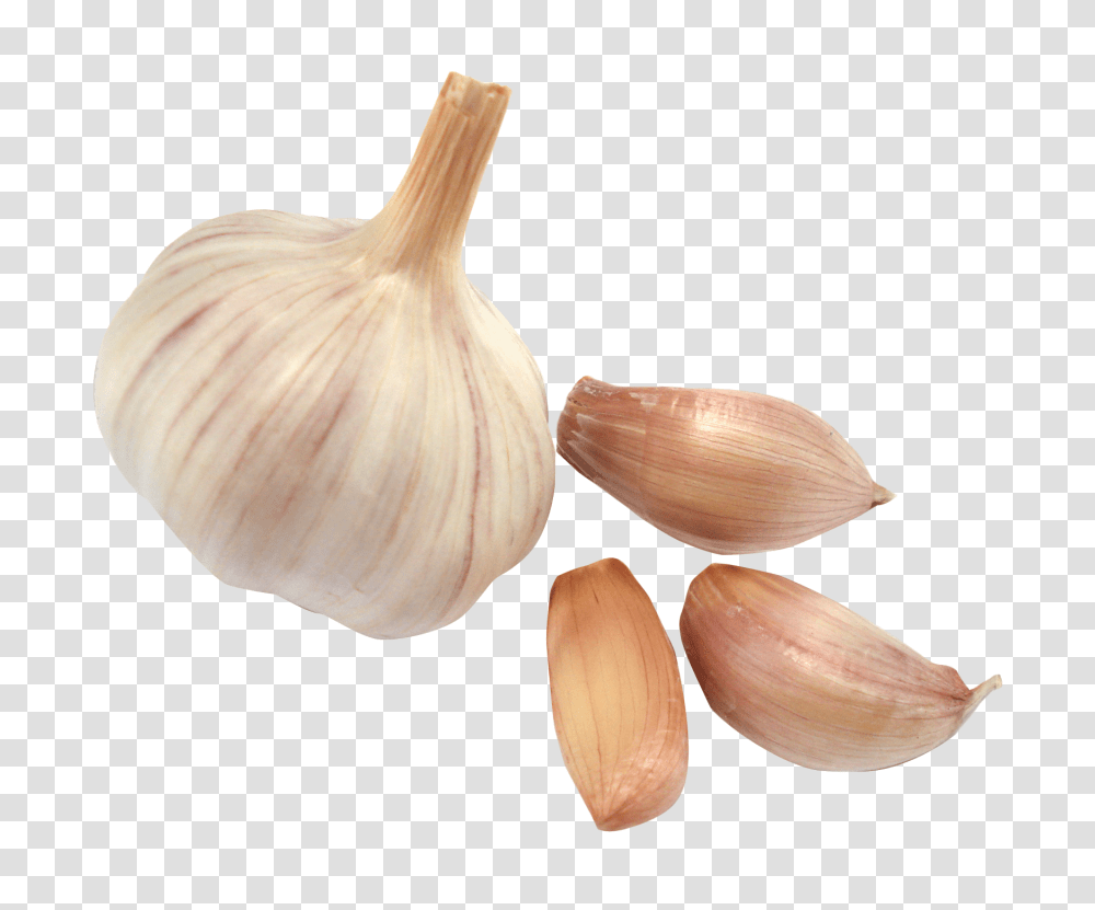 Garlic, Vegetable, Plant, Food, Fungus Transparent Png