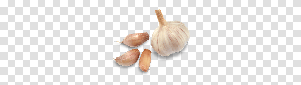 Garlic, Vegetable, Plant, Food, Person Transparent Png