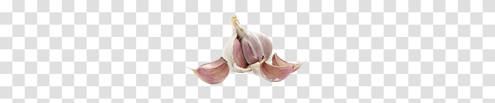 Garlic, Vegetable, Plant, Food, Person Transparent Png