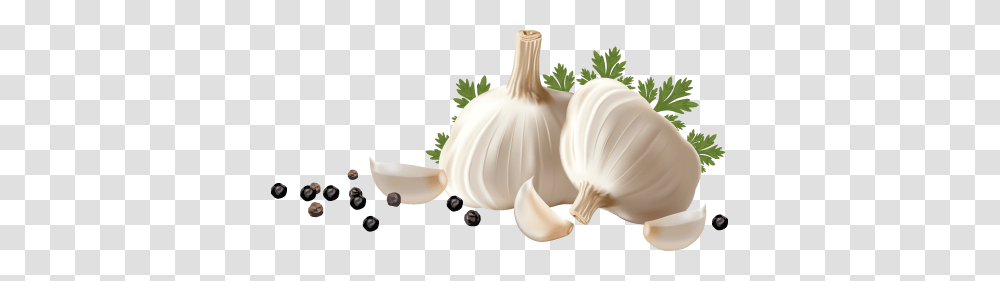 Garlic, Vegetable, Plant, Food, Pumpkin Transparent Png