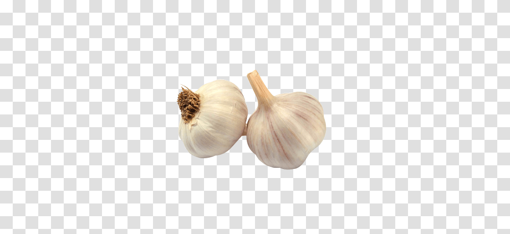 Garlic, Vegetable, Plant, Food Transparent Png